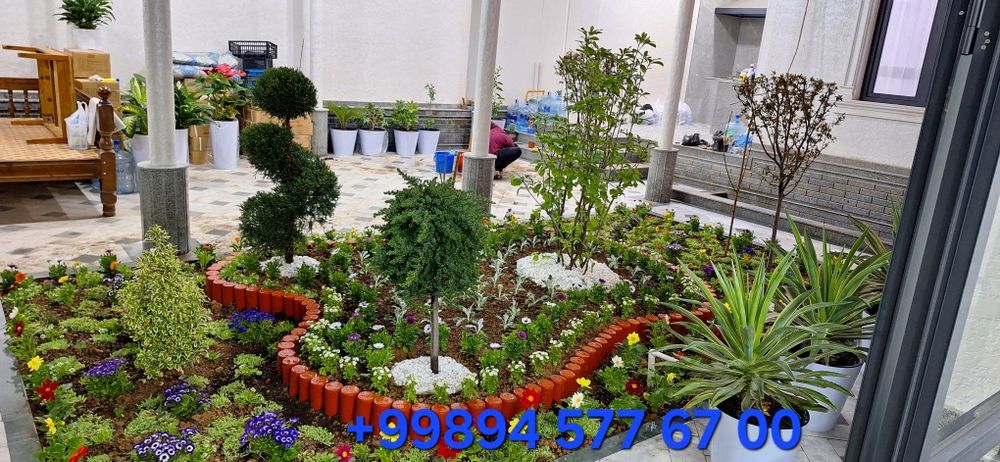 Газон екамиз гул екамиз тулов усули перечисление ва нахт фарки йук