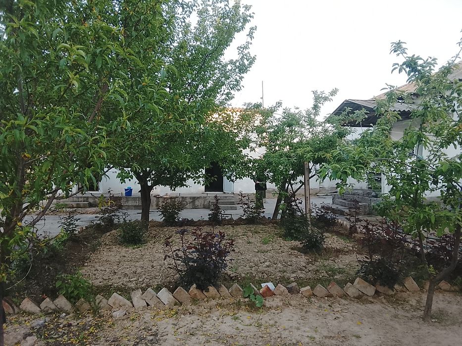 Срочна 40 сотихли уй