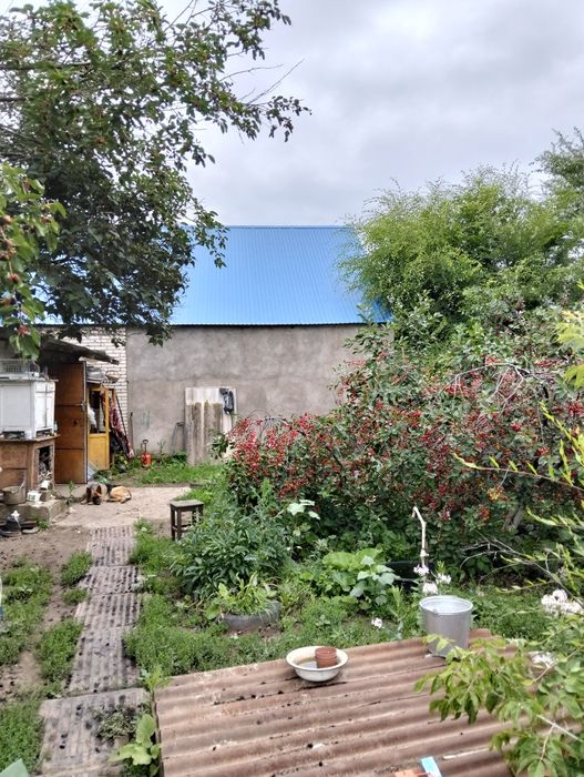 Продам землю с домом