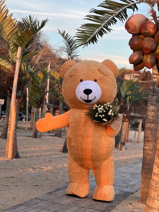 Костюм мечка с батерия .Нова