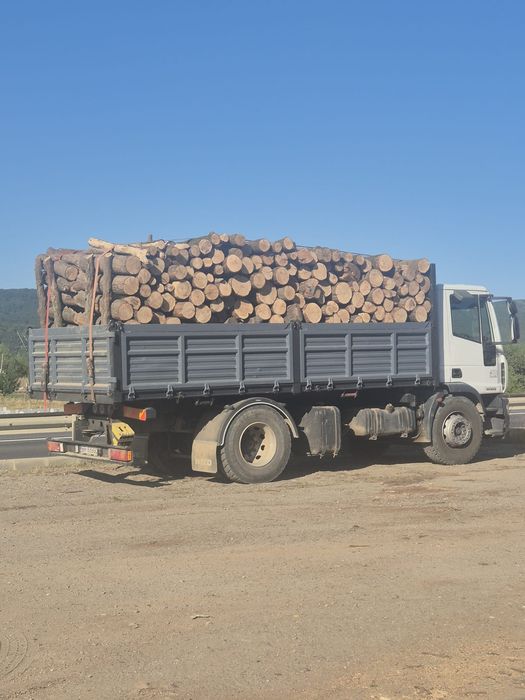 Vand lemn foc stejar