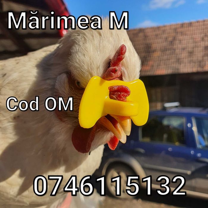 OM-Ochelari Fazani Gaini Pauni Cocosi Pasari-FARA STRAPUNGERE NAZALA