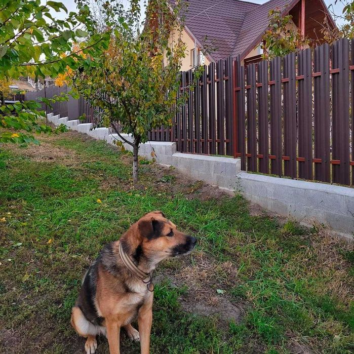 Garduri si porti de diferite modele si dimensiuni (panouri stil jaluzele, sipca metalica, tabla cutata, plasa bordurata, fier forjat, BCA)