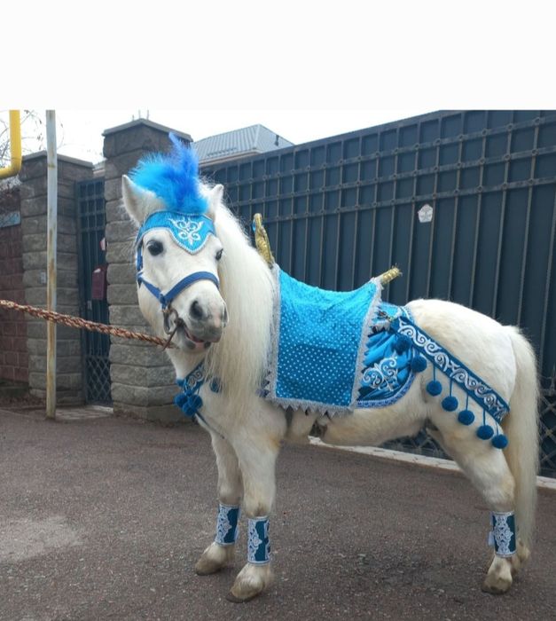 Карета Золушка катание