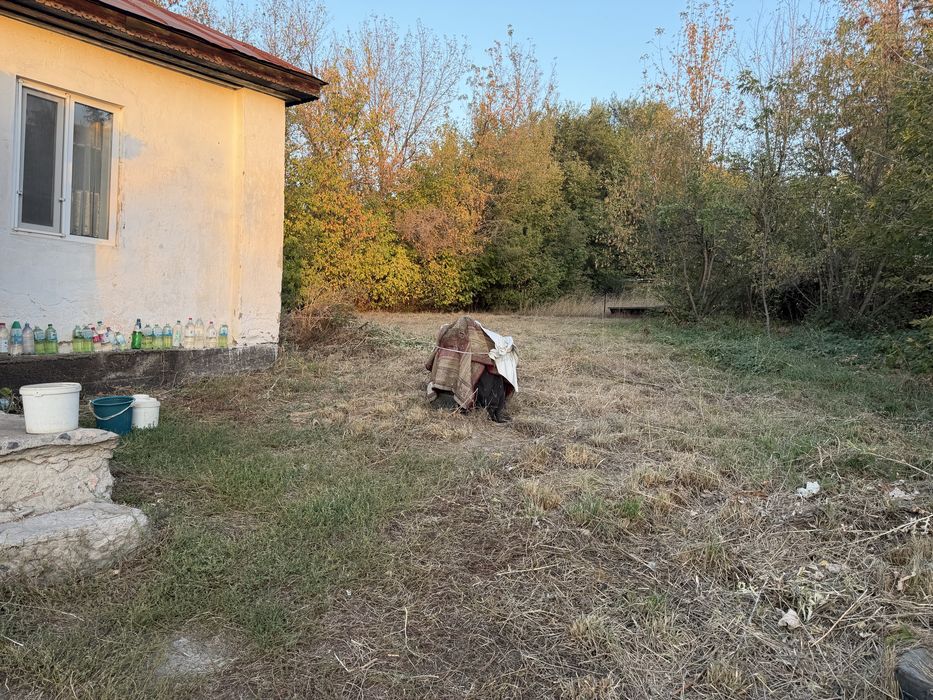 Недвижимость/земля