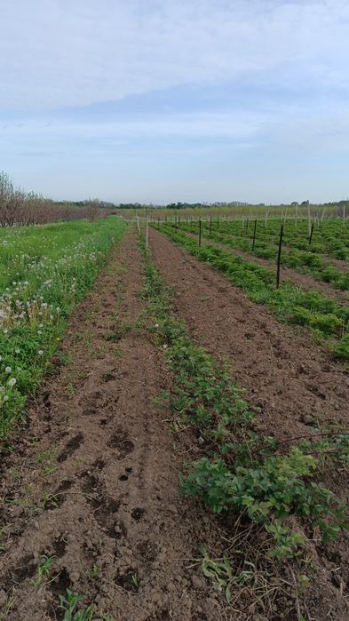 Продам Землю кха