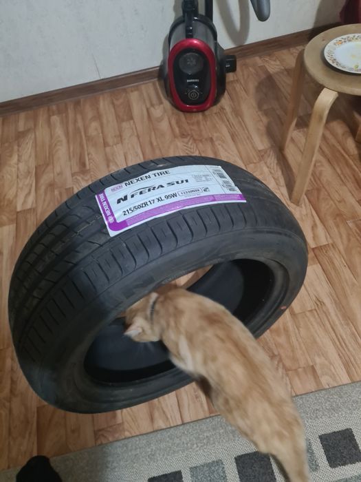 Продам летнюю новую шину