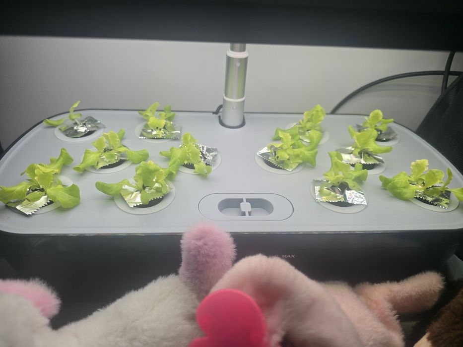 Ghiveci hidroponic / kit hydroponic 12 anveole