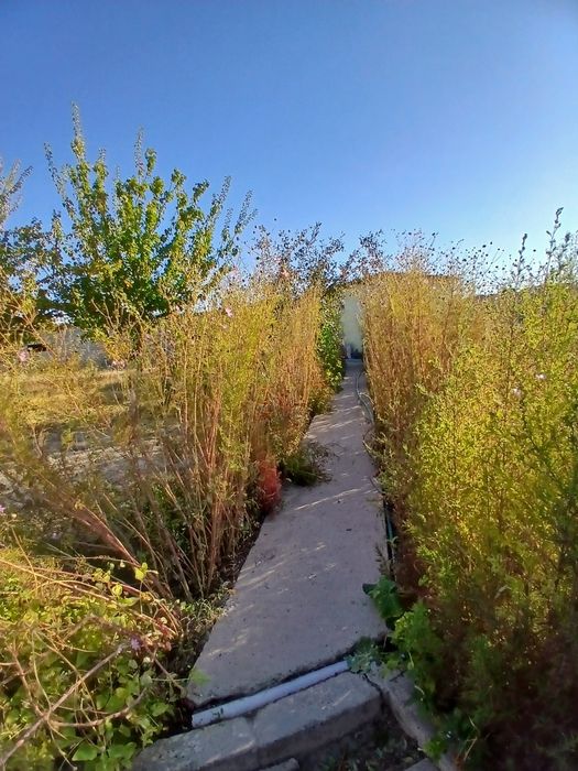 Срочно продам дом