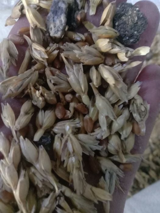 ОТХОДЫ Отруби колоски Полова