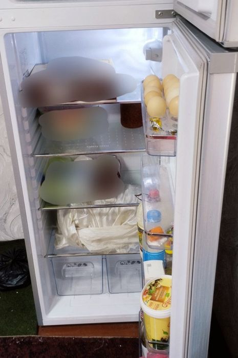 Holadilnik muzlatgich