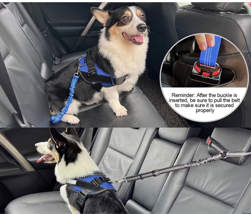 Centura siguranta elastica pentru caini