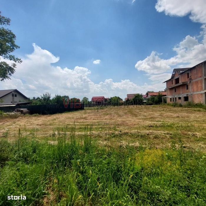 Teren 1.000 mp lângă pădure – Balotești, Str. Fieni