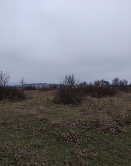 Продава се Парцел в с. Самораново, Област Кюстендил - 3200 кв.м за 10 €/кв.м - Снимка #2