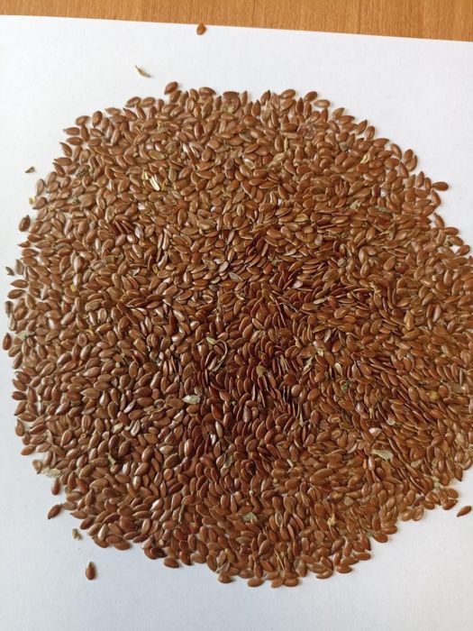 Бидай, арпа және сұлы көтерме сату