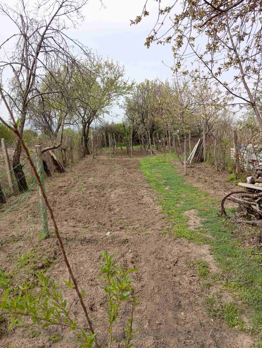 Парцел Ментешето