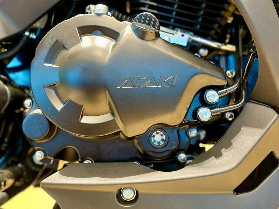 Мотоцикл ATAKI Batllo (4T PR300) 17/17
