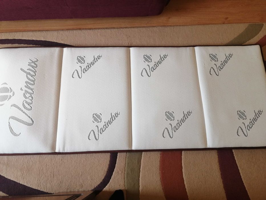 Terapie Vasindux Electromagnetic V3.0