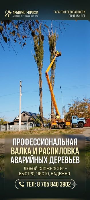 СПИЛ деревьев любой сложности