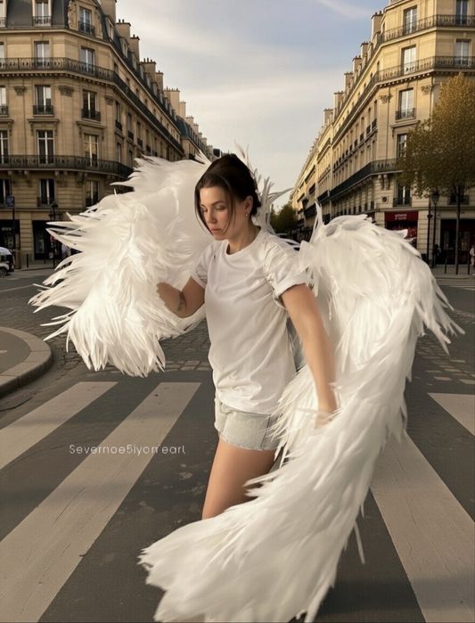 Крылья «воздух» аренда