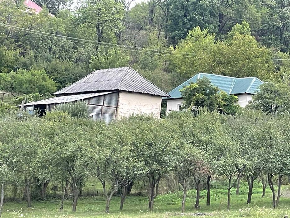 DE VÂNZARE – Casă cu teren și livadă în Săliște, comuna Băsești