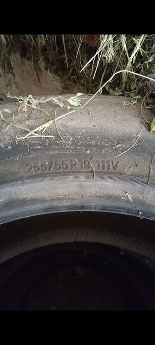 Шины Toyo Proxes R19