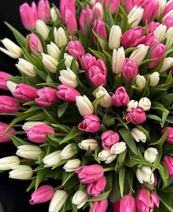 Тюльпаны по 600тг.раен кшт