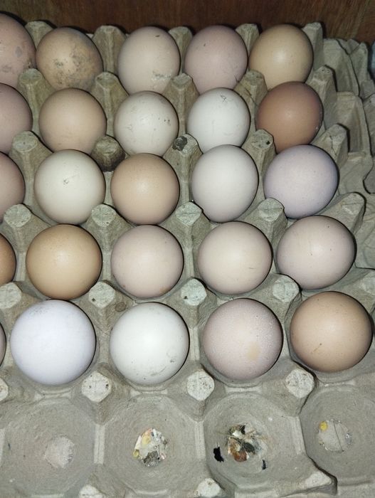 Яйца кур Ханхяп (Корея)