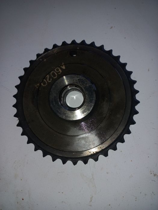 Vând  peșă  2.9  ¹