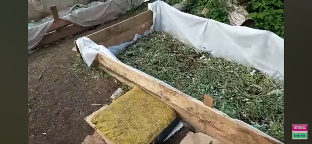 Земен червей за риболов жилав издържлив за мирни риби 20 25 броя черве