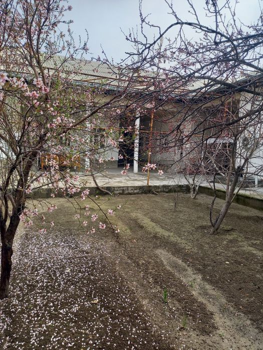 Xovli uy sotiladi