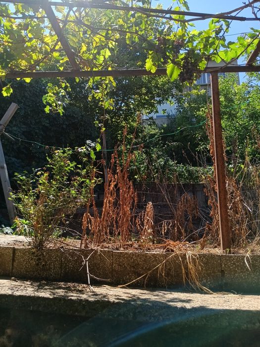 Продава се Къща в Плевен, Мара Денчева - 160 кв.м за 782 €/кв.м - Снимка #15