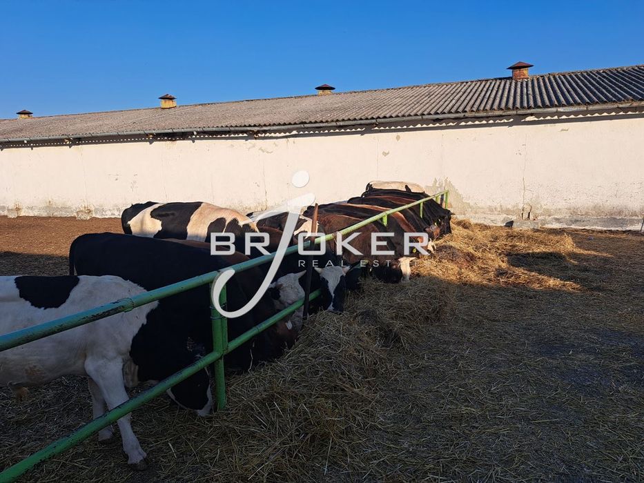 Пром. помещение в Добрич, област-с.Честименско