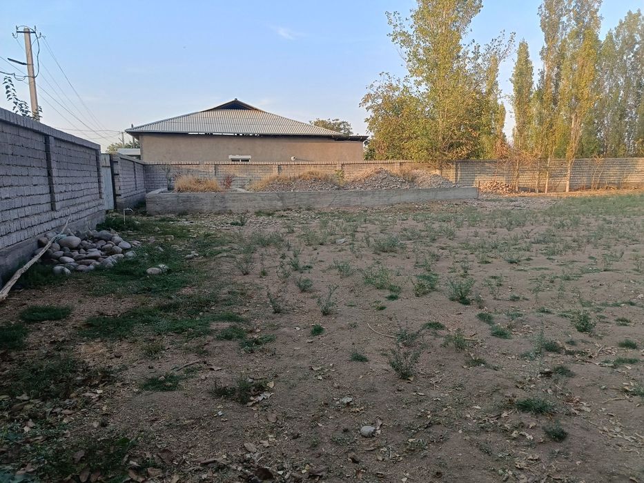 Yangi Toshkent yaqinida yer uchastkasi sotiladi