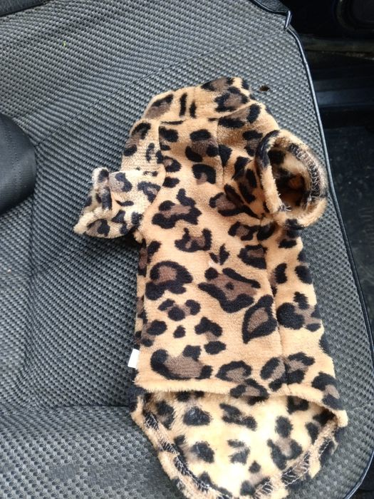 Одежда для котят xs