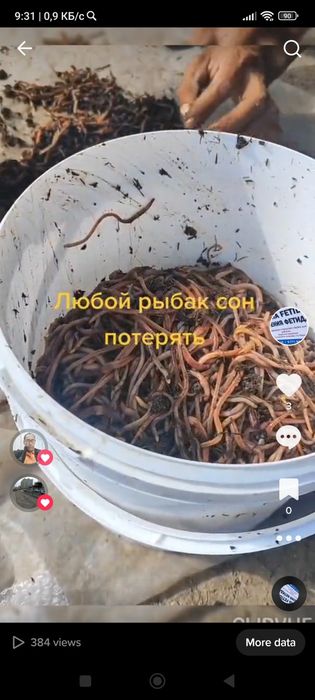 Биогумус биогумус