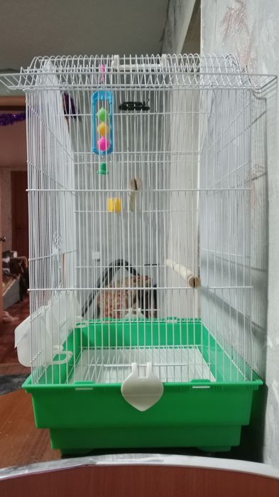 Клетка для попугая кореллы