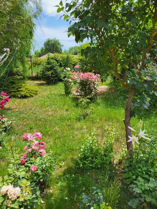 Çasă/ vilă de vânzare