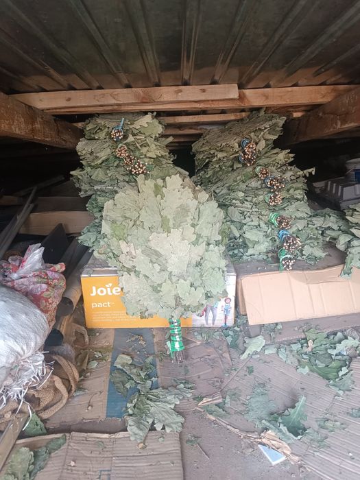 Продам веники для бани