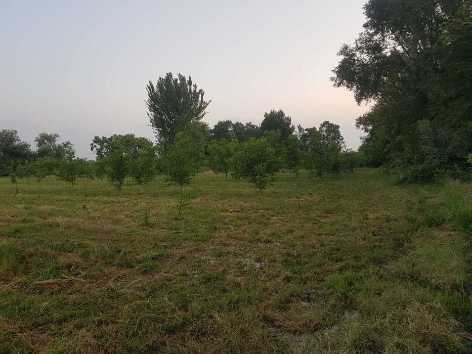 Ekin maydoni bog uchun ijaraga