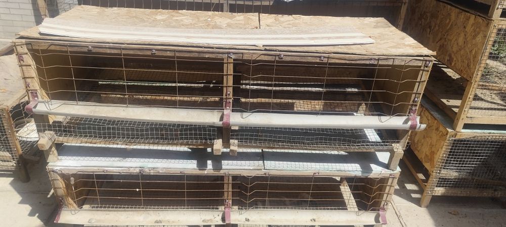 Тауық кетек для несушек