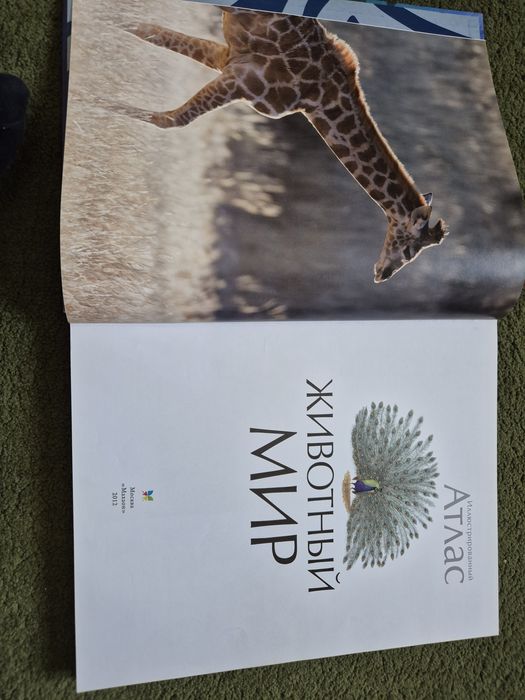 Атлас Животный мир