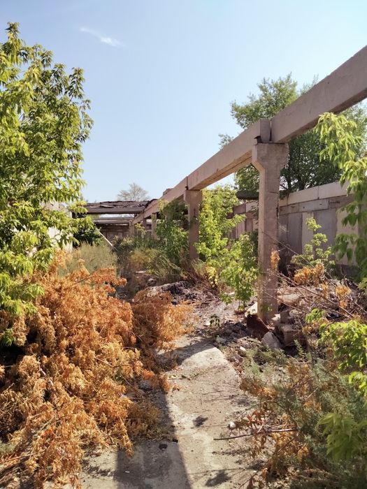 Продам действующий бизнес