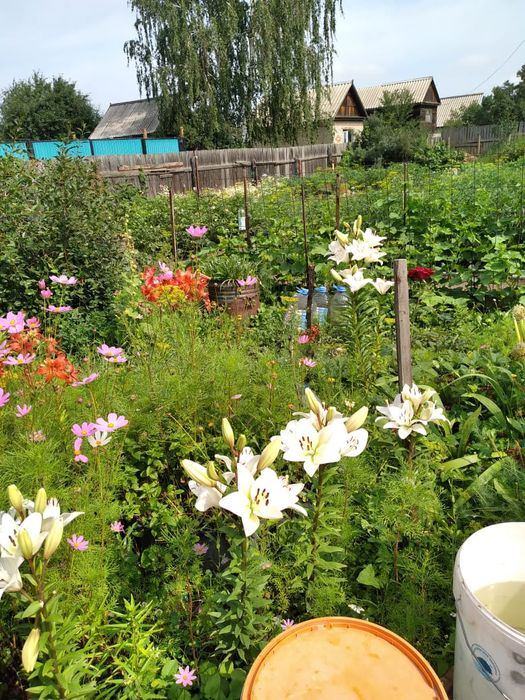 Продам дачу садовое общество кск
