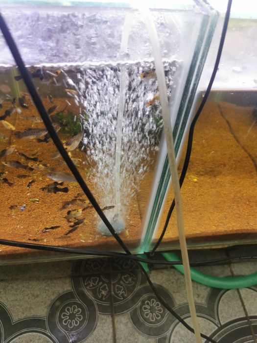 Pompe de aer-oxigenare apa cu putere reglabila Bacau • OLX.ro