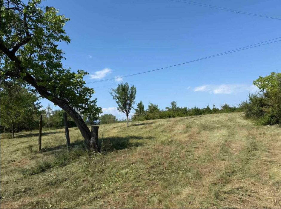 Вила с двор 3 дка ,Севлиевски лозя