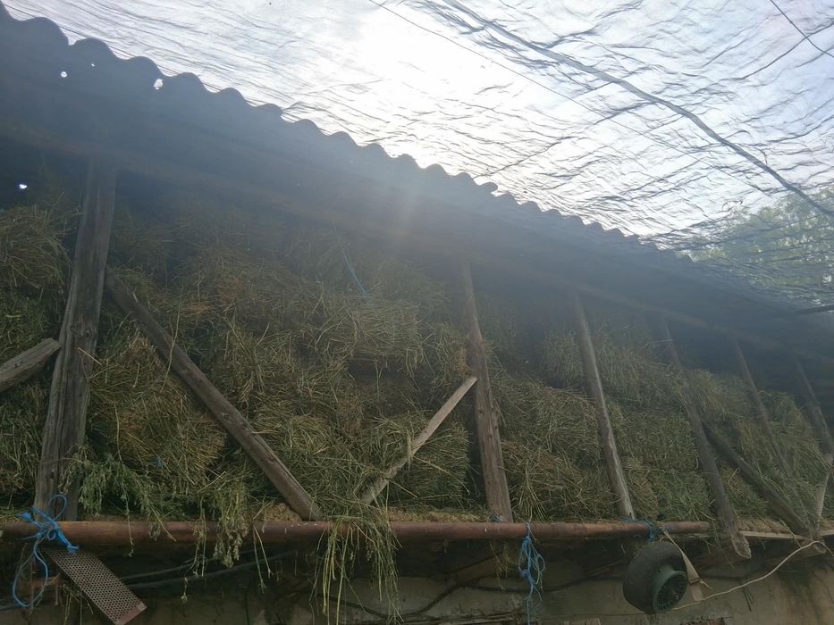 vand baloti lucerna