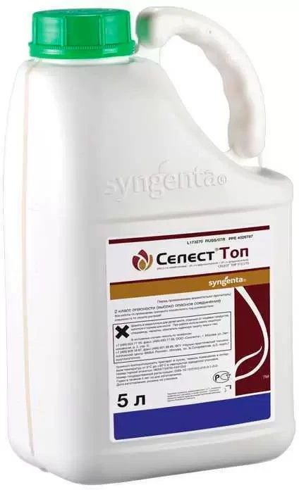 Селест Топ 20тыс/л