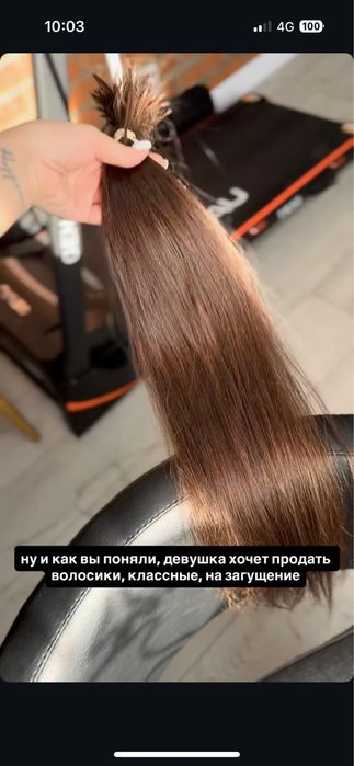 Продам вобос настоящий 65-70 см коричневые