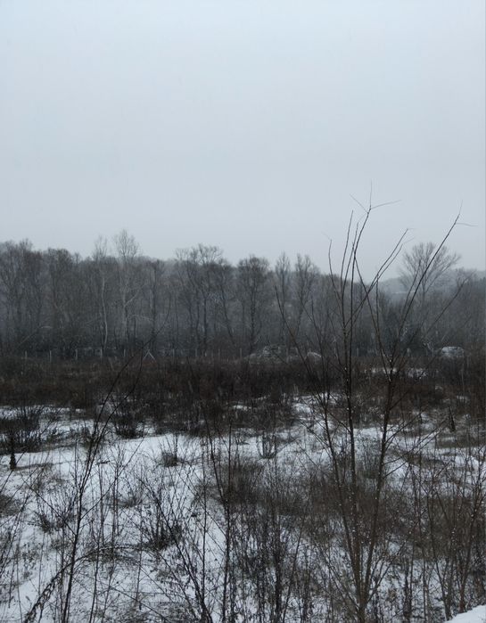 Продава се Парцел в с. Невестино, Област Кюстендил - 17350 кв.м за 9 €/кв.м - Снимка #2